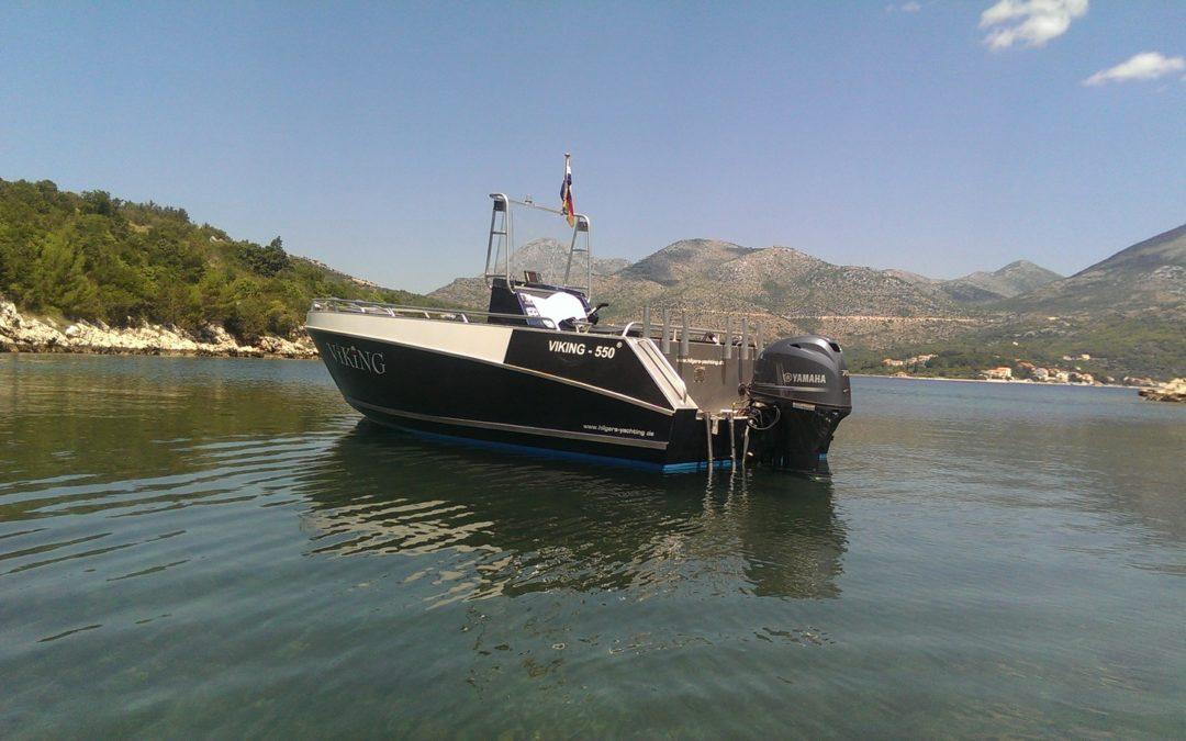 Viking 550